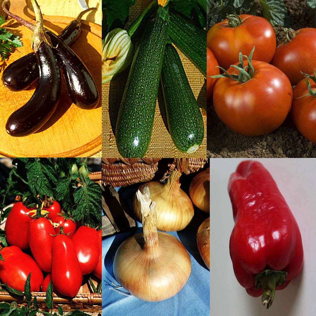 Collection De Légumes Du Soleil