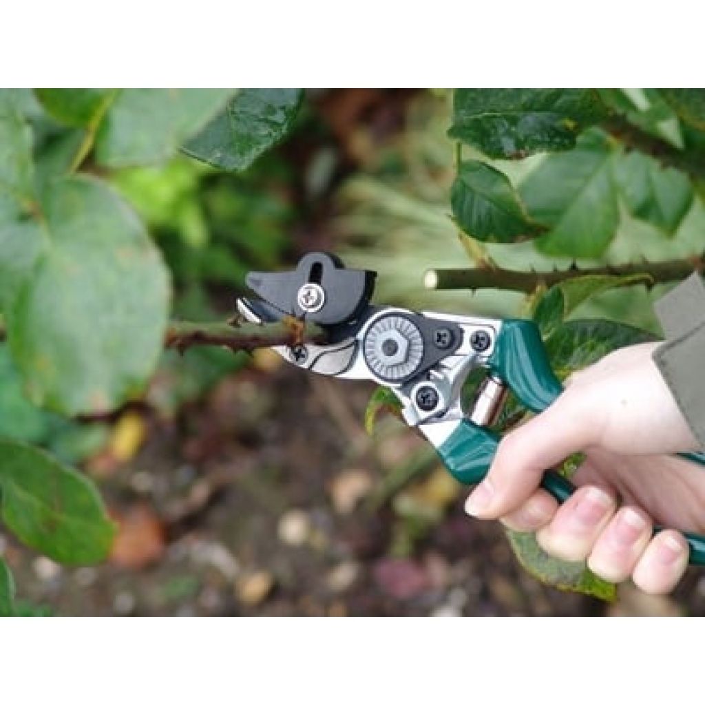 Sécateur à Rosiers Burgon & Ball - Gamme RHS