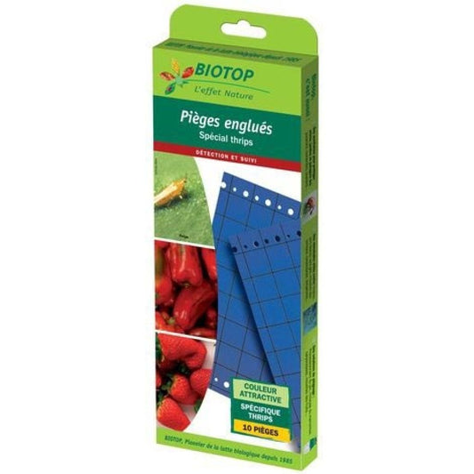  Piège Chromatique (plaques Engluées) Bleu 25 X 10 Cm - Boite De 10