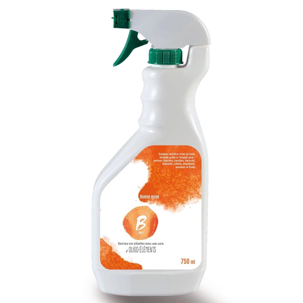  Anti Carentiel Bore B En Spray De 750 Ml