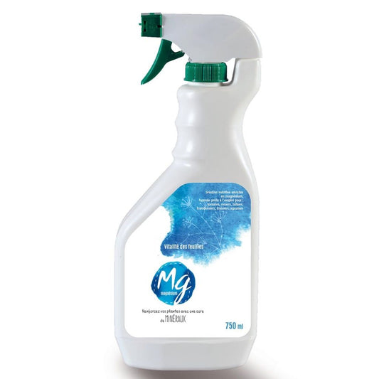  Anti Carentiel Magnésium (Mg) En Spray De 750 Ml