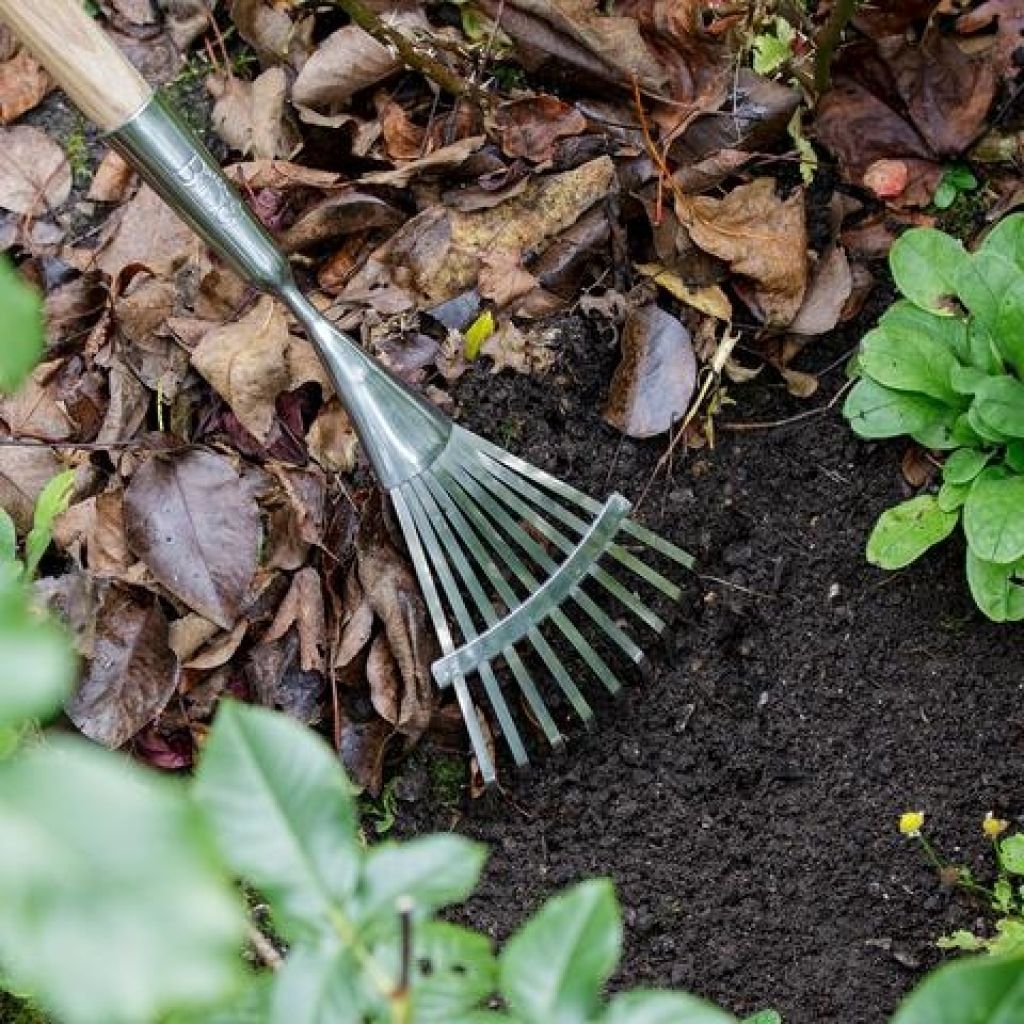  Balai Fil Plat étroit 9 Dents Burgon & Ball - Gamme RHS