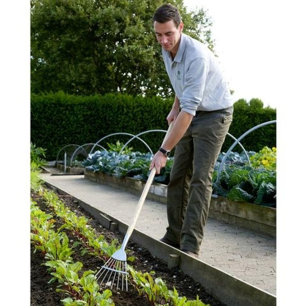  Balai Fil Rond 8 Dents Burgon & Ball - Gamme RHS