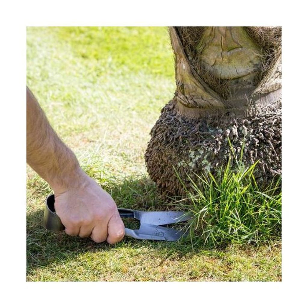  Cisaille à Gazon Et Buis Burgon & Ball - Gamme RHS