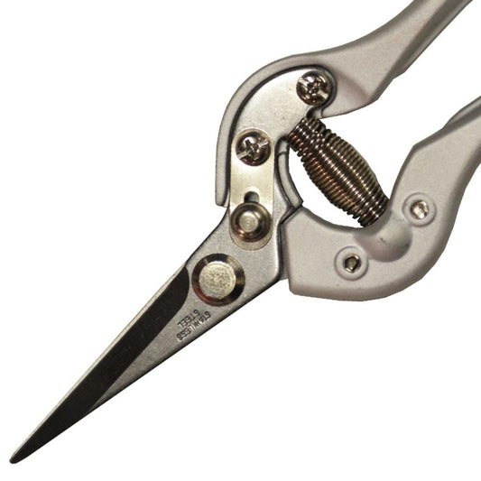  Epinette Traditionnelle Polet 20cm - Sécateur à Fruits
