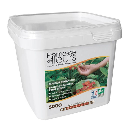  Engrais Promesse De Fleurs Pour Fraisiers Et Petits Fruits Boite De 500g