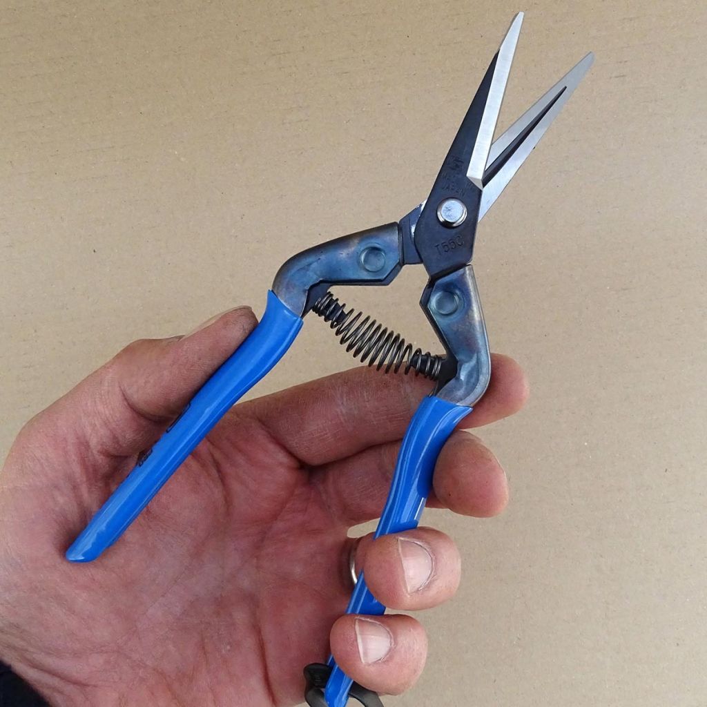  Epinette De Récolte à Longues Lames