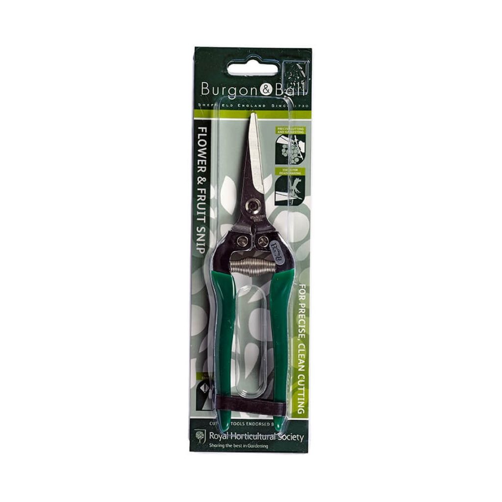  Epinette Pour Fruits Et Fleurs Burgon & Ball - Gamme RHS