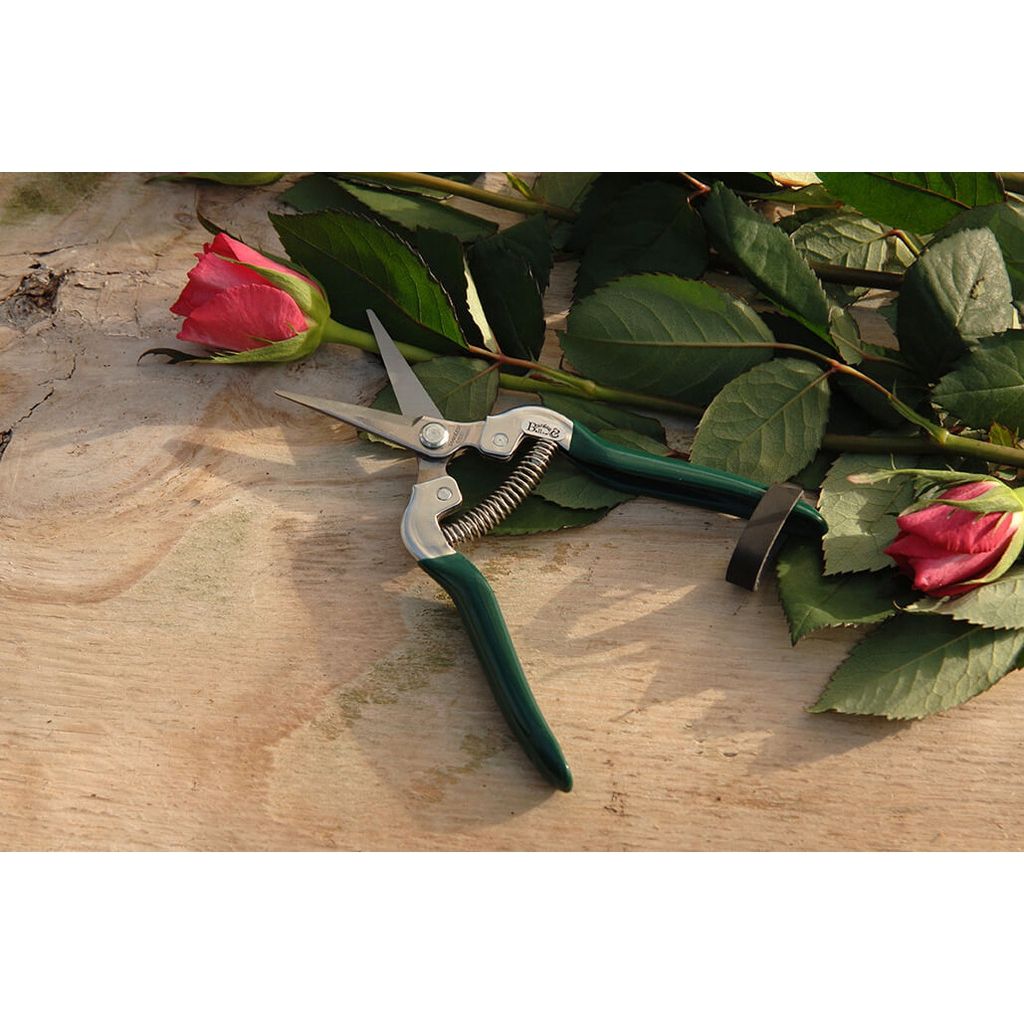  Epinette Pour Fruits Et Fleurs Burgon & Ball - Gamme RHS