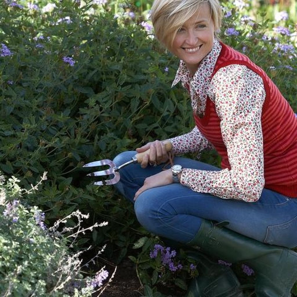  Fourche à Fleurs 3 Dents Burgon & Ball - Gamme RHS