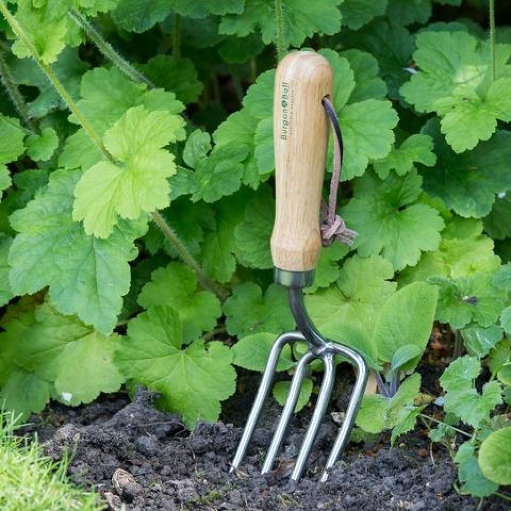  Fourche à Fleurs 4 Dents Rondes Burgon & Ball - Gamme RHS