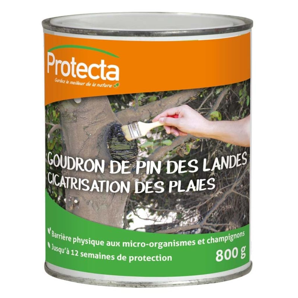  Goudron De Pin Des Landes Protecta Boîte De 800g