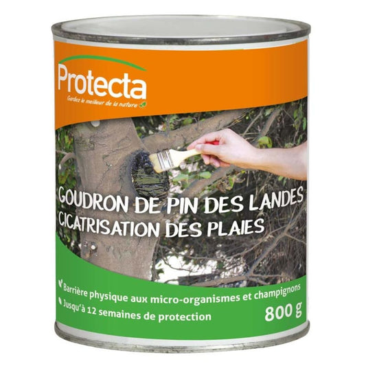  Goudron De Pin Des Landes Protecta Boîte De 800g