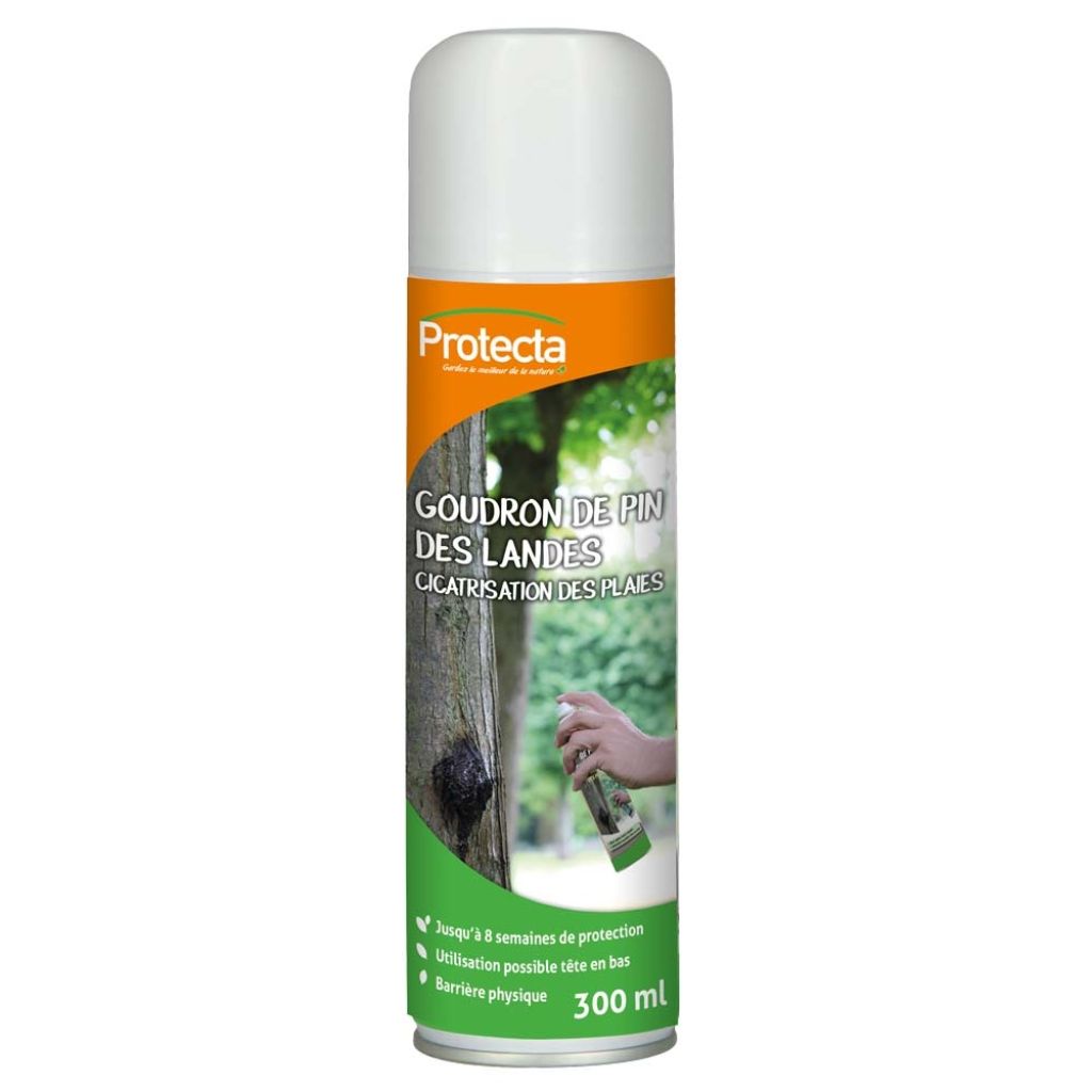  Goudron De Pin Des Landes Protecta Aérosol De 300ml