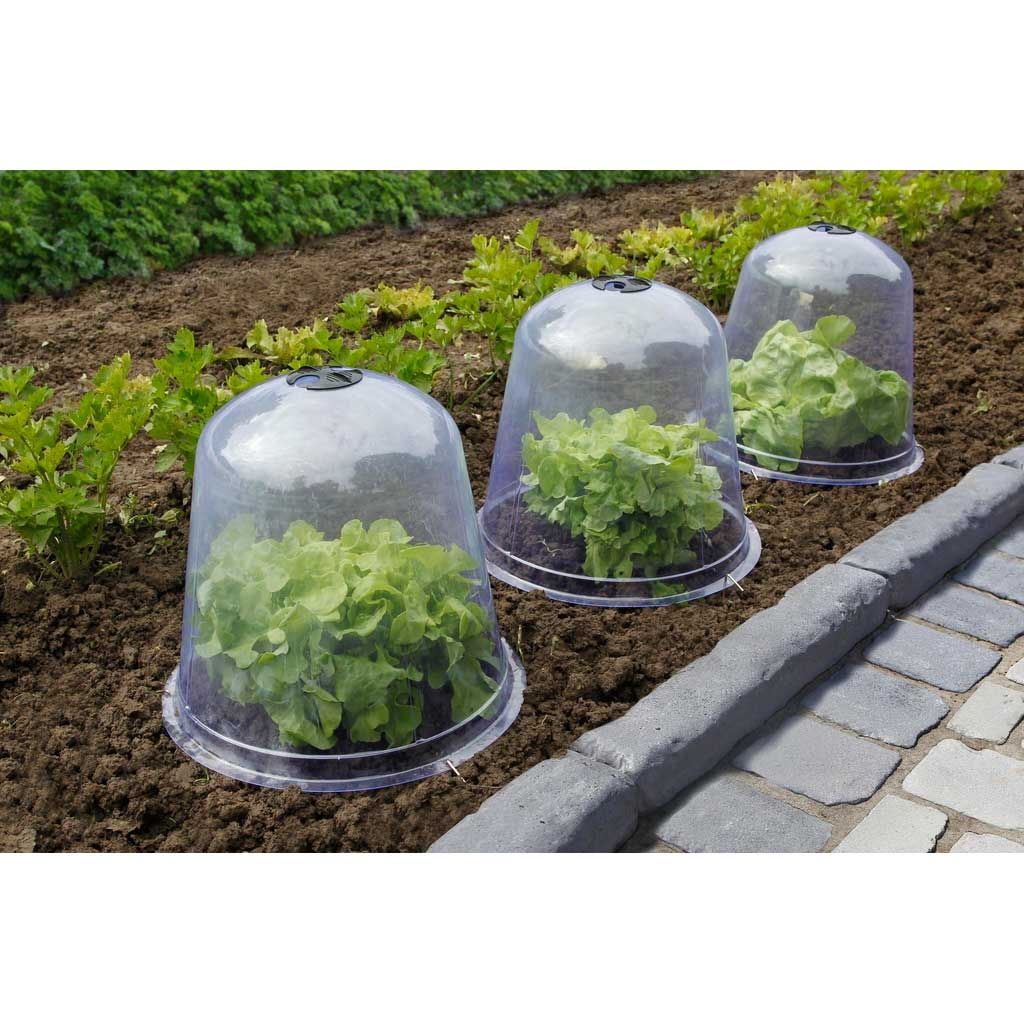  Cloche à Salade Transparente PVCØ 33 Cm - Vendu Par 3