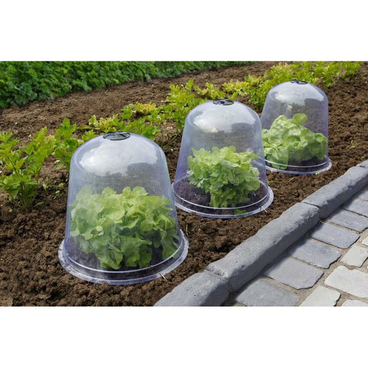  Cloche à Salade Transparente PVCØ 33 Cm - Vendu Par 3