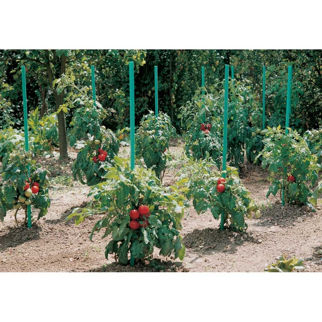  Tuteur Tomates PVC à Réserve D'eau AQUATOM