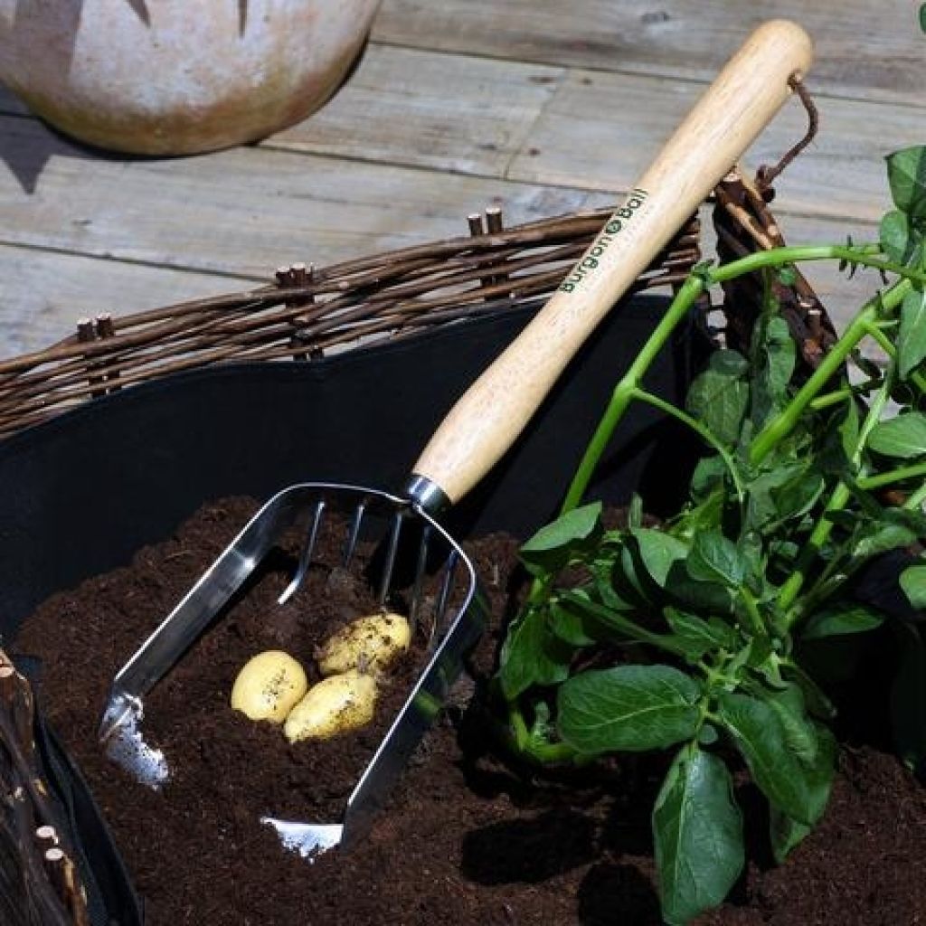  Pelle à Récolte Pour Pommes De Terre Burgon & Ball - Gamme RHS