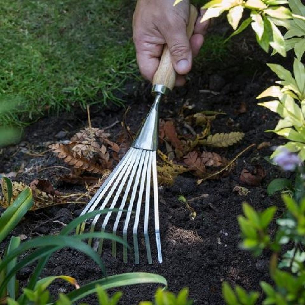  Petit Balai Fil Plat étroit 9 Dents Burgon & Ball - Gamme RHS
