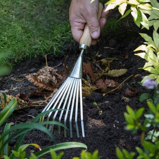  Petit Balai Fil Plat étroit 9 Dents Burgon & Ball - Gamme RHS