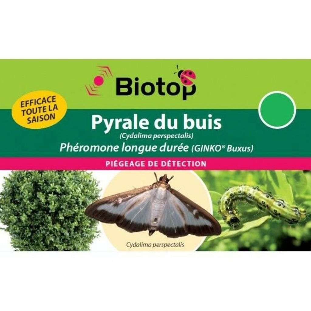  Phéromone Pyrale Du Buis Cydalima Perspectalis - 1 Capsule Longue Durée GINKO BUXUS