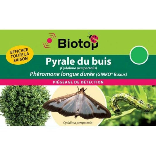  Phéromone Pyrale Du Buis Cydalima Perspectalis - 1 Capsule Longue Durée GINKO BUXUS