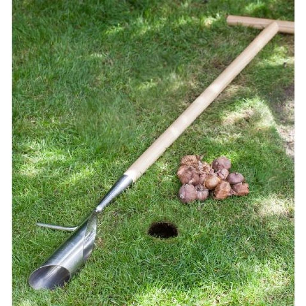  Plantoir à Bulbes à Manche Long Burgon & Ball - Gamme RHS
