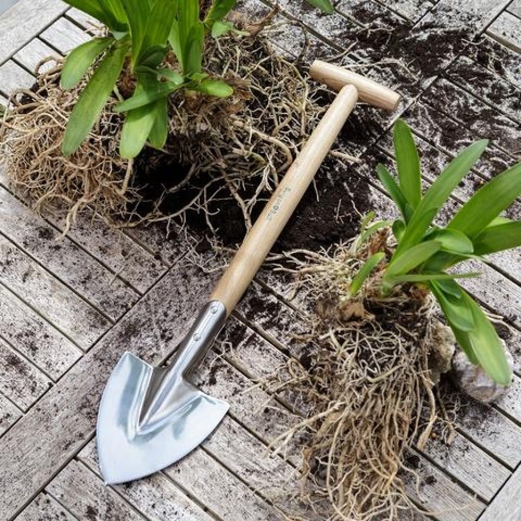  Plantoir à Vivaces Burgon & Ball - Gamme RHS