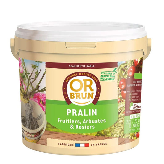  Pralin Or Brun En Seau De 2 Kg