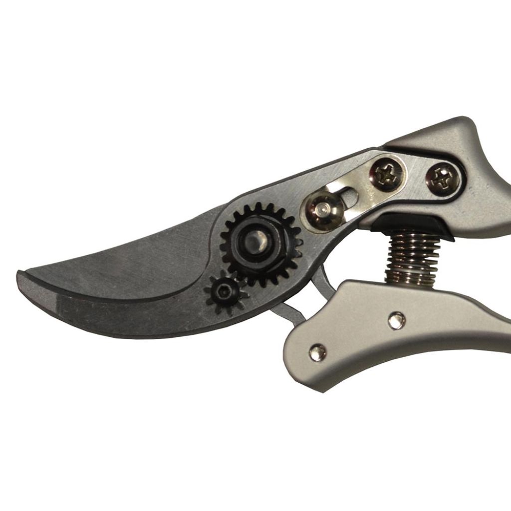  Sécateur Traditionnel Ergonomique Polet