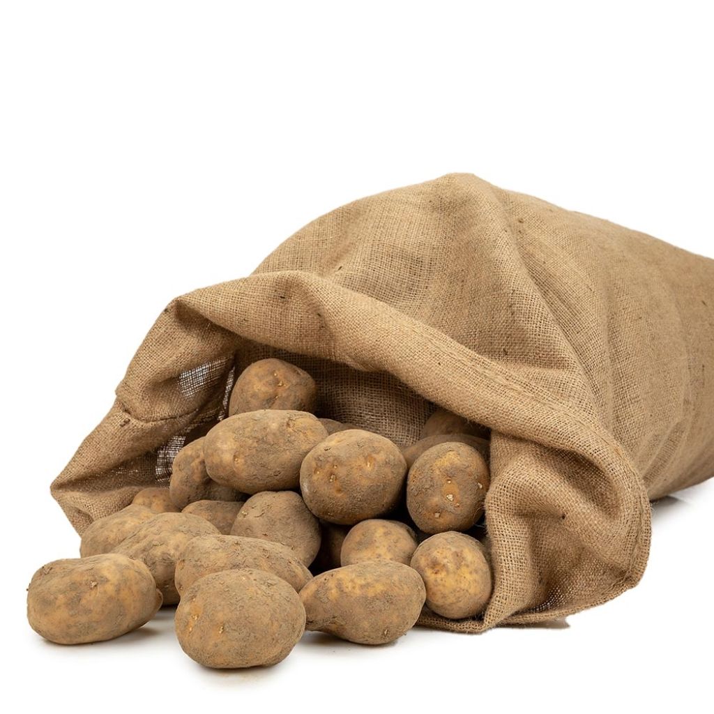  Sac En Jute Spécial Pommes De Terre 305 G/m2 Contenance 50 Kg 60 X 105 Cm La Cordeline