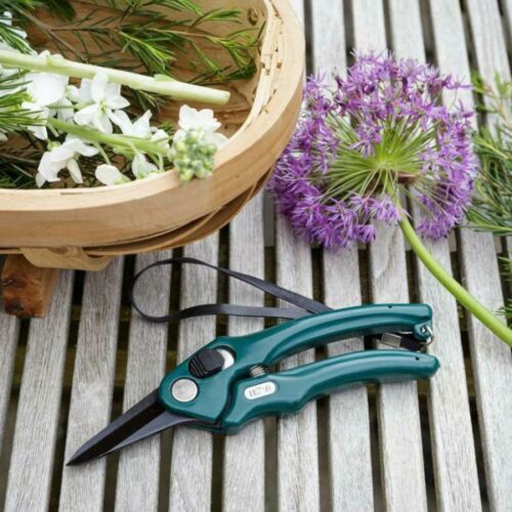  Sécateur De Fleuriste Burgon & Ball - Gamme RHS