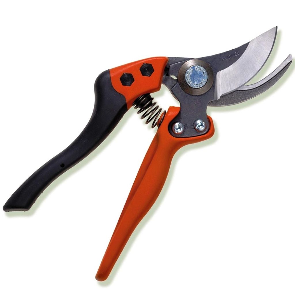  Sécateur Professionnel Ergonomique Taille S Tête N°2 Bahco PX-S2