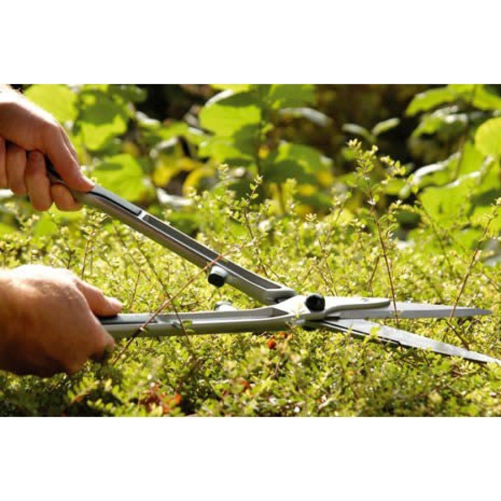  Taille-haie Pour Buis Burgon & Ball - Gamme RHS