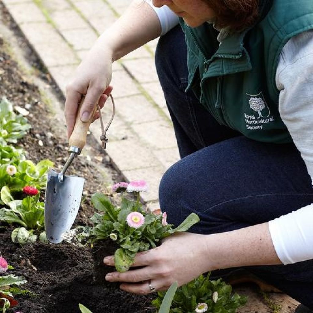  Transplantoir Burgon & Ball - Gamme RHS