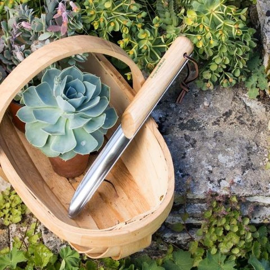  Transplantoir étroit De Rocaille Burgon & Ball - Gamme RHS