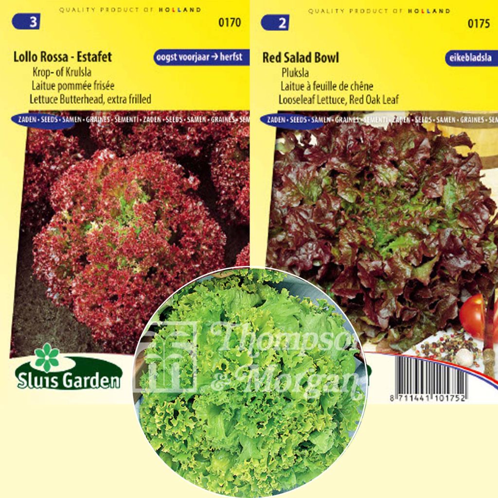  Collection De 3 Salades à Couper BIO