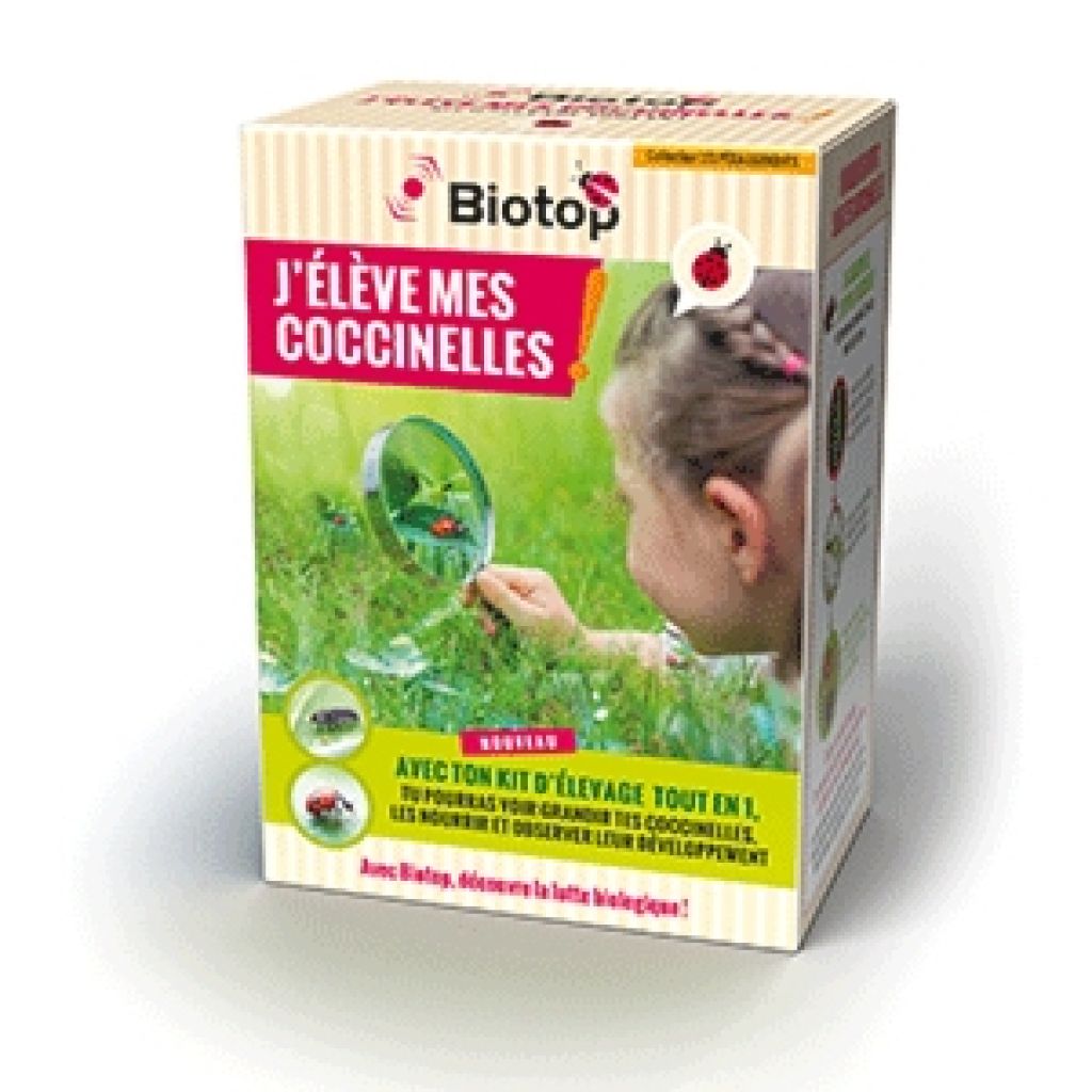  Kit Pédagogique D’élevage De Coccinelles Biotop