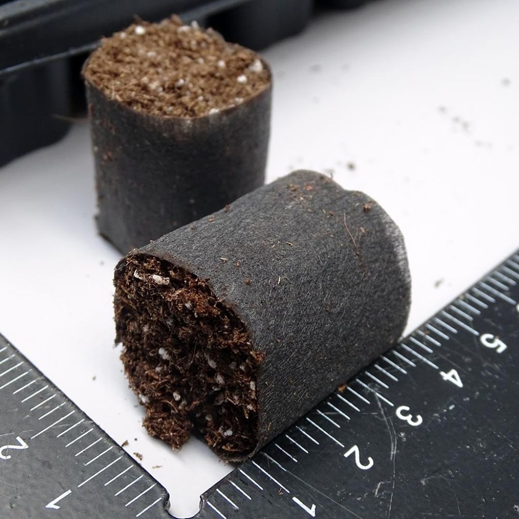  Kit Plateau Et Mottes Fertiss 3 X 3 Cm De Fertil : Plateau De 104 Mottes