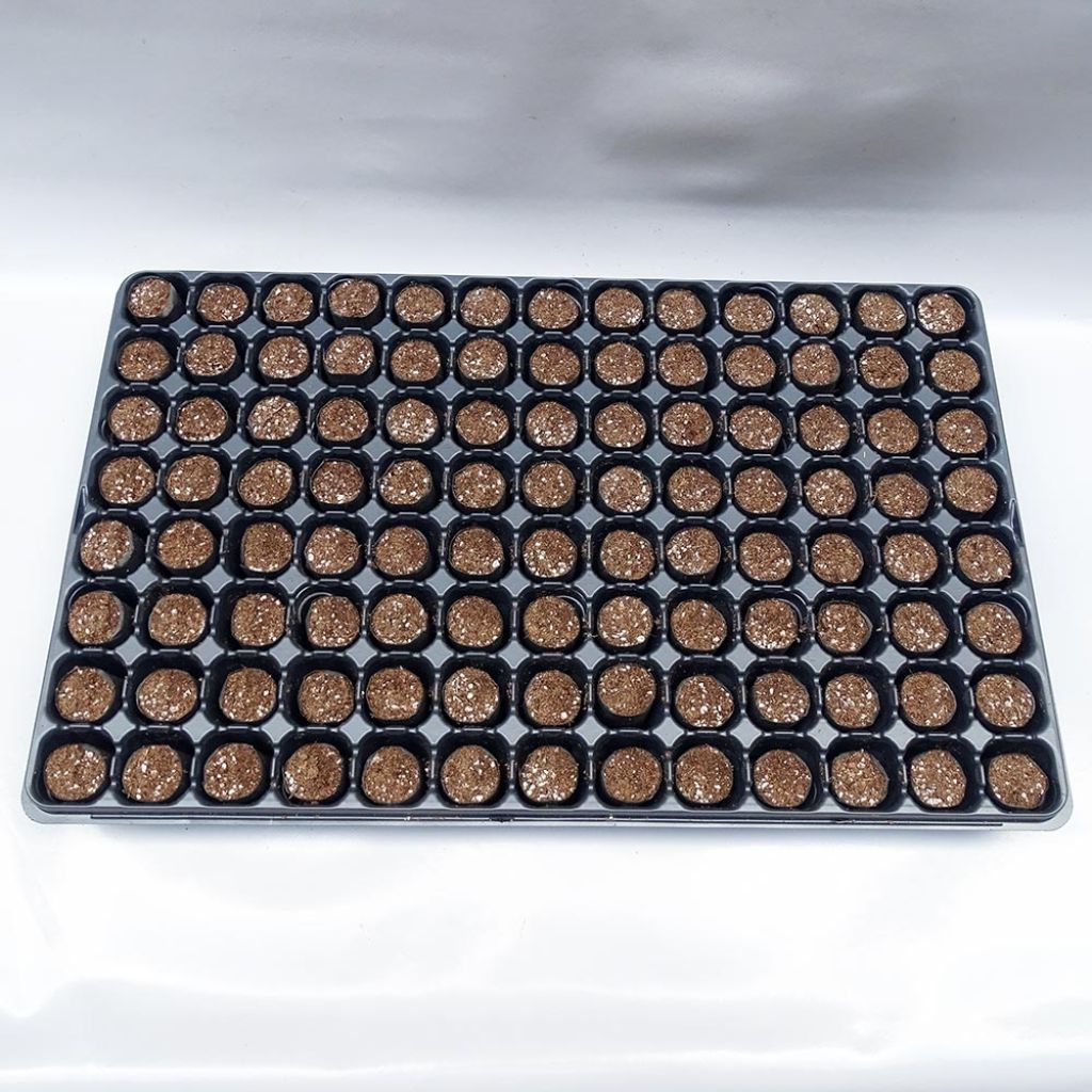 Kit Plateau Et Mottes Fertiss 3 X 5 Cm De Fertil : Plateau De 104 Mottes