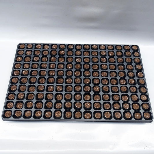 Kit Plateau Et Mottes Fertiss 2 X 4 Cm De Fertil : Plateau De 150 Mottes