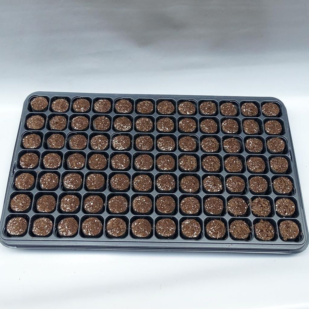  Kit Plateau Et Mottes Fertiss 3.2 X 3.5 Cm De Fertil : Plateau De 84 Mottes